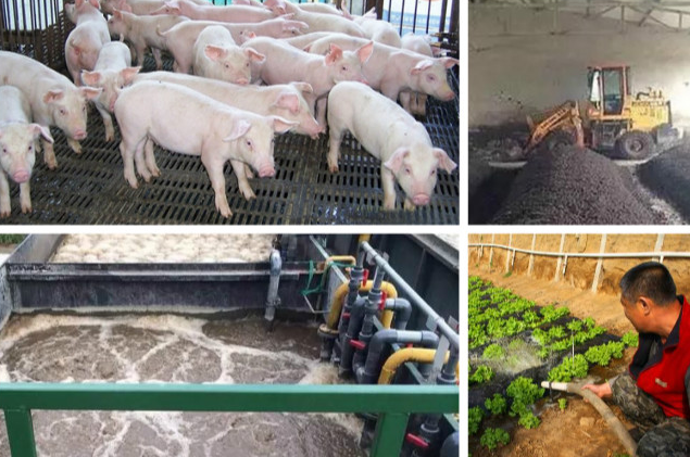 養殖污水處理一體設備多少錢？養殖污水處理方法