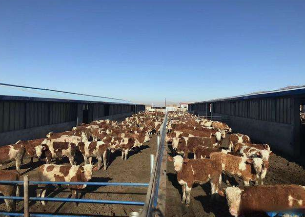 養(yǎng)殖場污水直接排放會面臨哪些處罰?JPEG.2 養(yǎng)殖場污水直接排放會面臨哪些處罰?JPEG.2