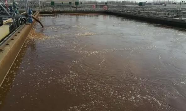 屠宰污水的特點及處理難點(生豬屠宰場的污水怎么處理達標) 屠宰污水的特點及處理難點(生豬屠宰場的污水怎么處理達標)