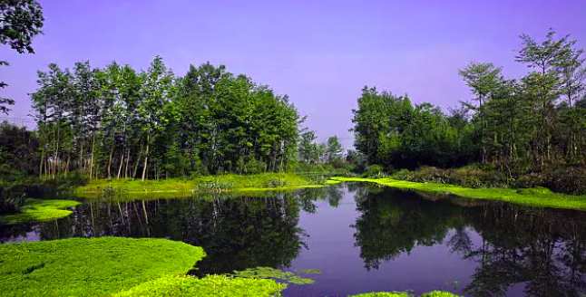 人工濕地污水處理技術的優點及用途(人工濕地污水處理案例) 人工濕地污水處理技術的優點及用途(人工濕地污水處理案例)