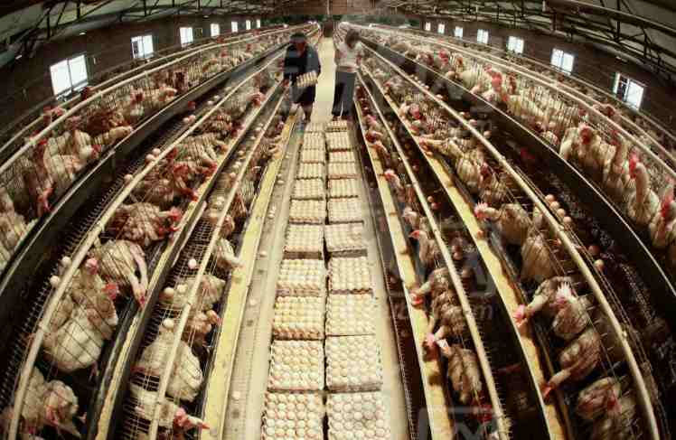 養(yǎng)殖場高壓清洗機什么牌好(養(yǎng)殖場高壓清洗機廠家分享) 養(yǎng)殖場高壓清洗機什么牌好(養(yǎng)殖場高壓清洗機廠家分享)