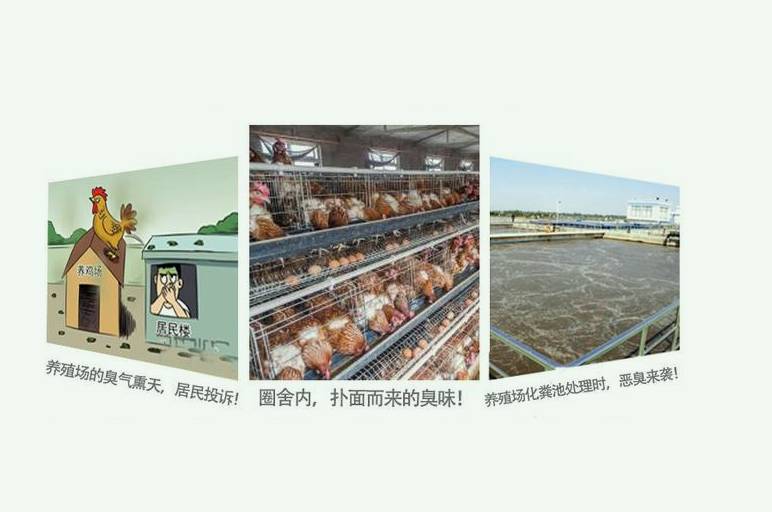 養殖場排放的臭氣對人危害有哪些(養殖場的氣味對身體有害嗎) 養殖場排放的臭氣對人危害有哪些(養殖場的氣味對身體有害嗎)