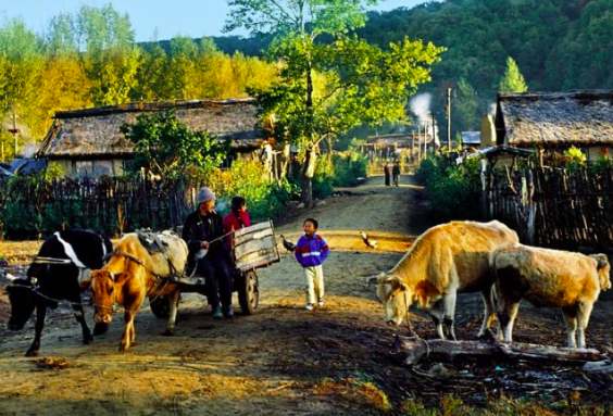 貴州省農(nóng)村生活污水處理設(shè)施水污染物排放標準(附主要指標) 貴州省農(nóng)村生活污水處理設(shè)施水污染物排放標準(附主要指標)
